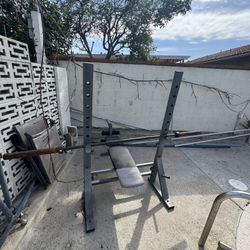 Bench Press With Bar 