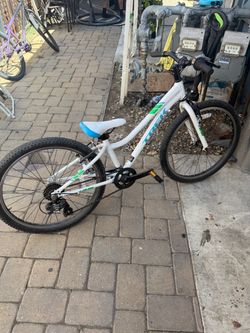 TREK bike