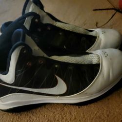 Nike LeBrons 