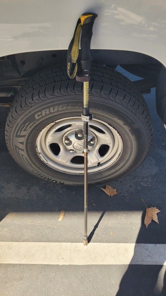 Hiking Pole