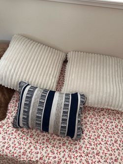 Decorative Throw Pillow