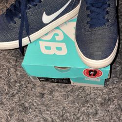 Nike Sb 