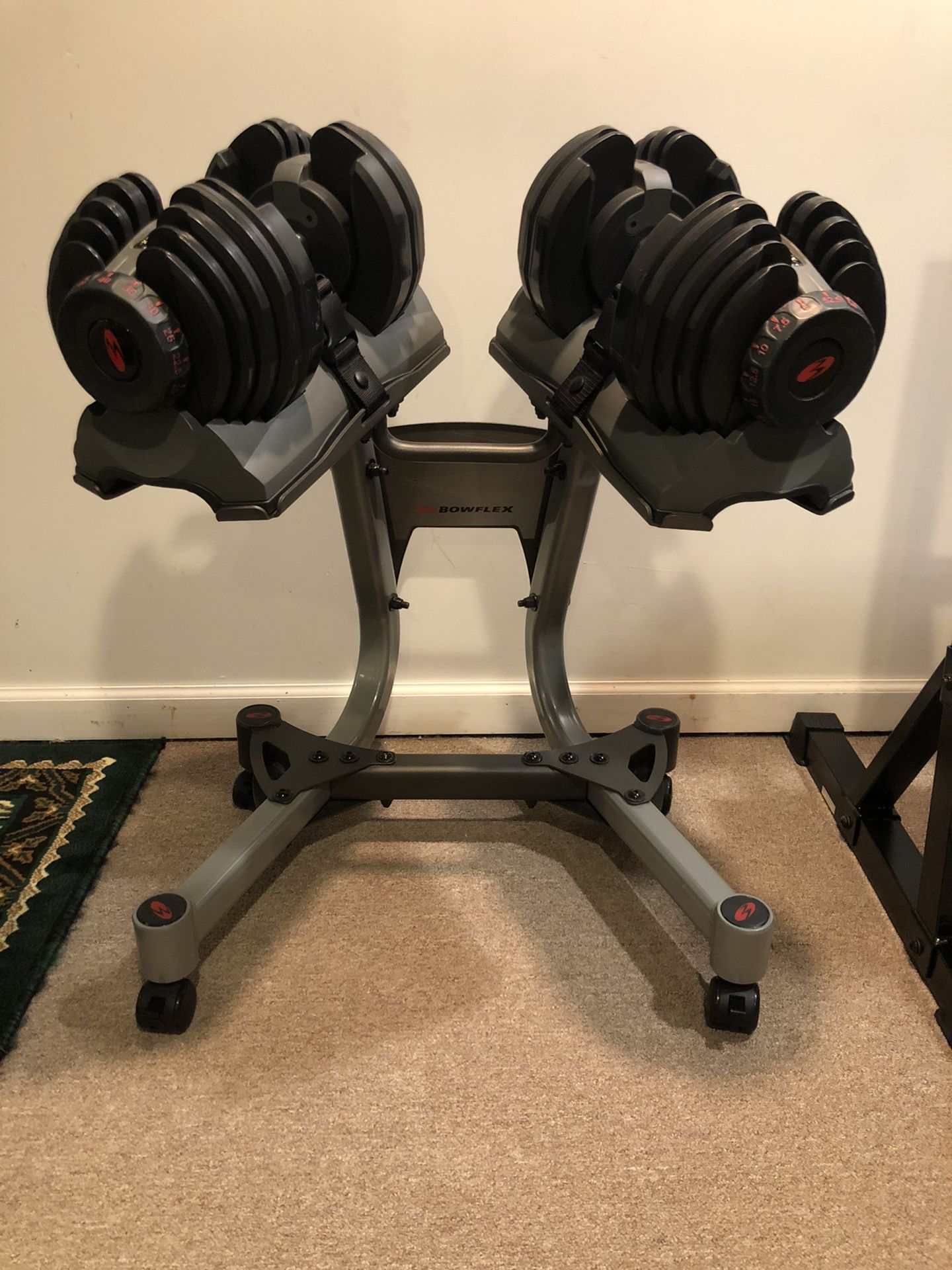 Elliptical, Bowflex Dumbbells with Mobile Stand
