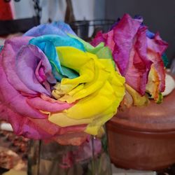 Rosas Naturales 