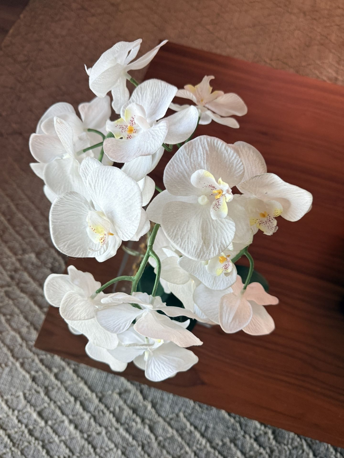 Beautiful Artificial orchid From Costco