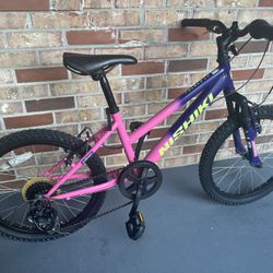 20” Bike (Nishiki)