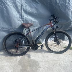 Electric Bike 21 Speed