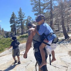 Freeloader child best sale carrier