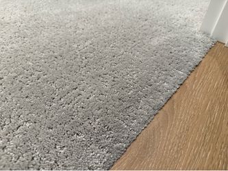 New Carpet - remnant 14.5 sq. yds