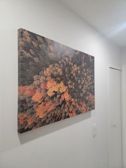 Autumn Woods Aerial Canvas Wall Art, Print Décor, Home & Office Decoration, Autumn Season Art Print. Ready to Hang Art. M: 36" x 24" x 1 1/2".