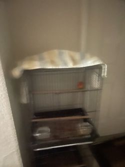 ….. bird cage****++++
