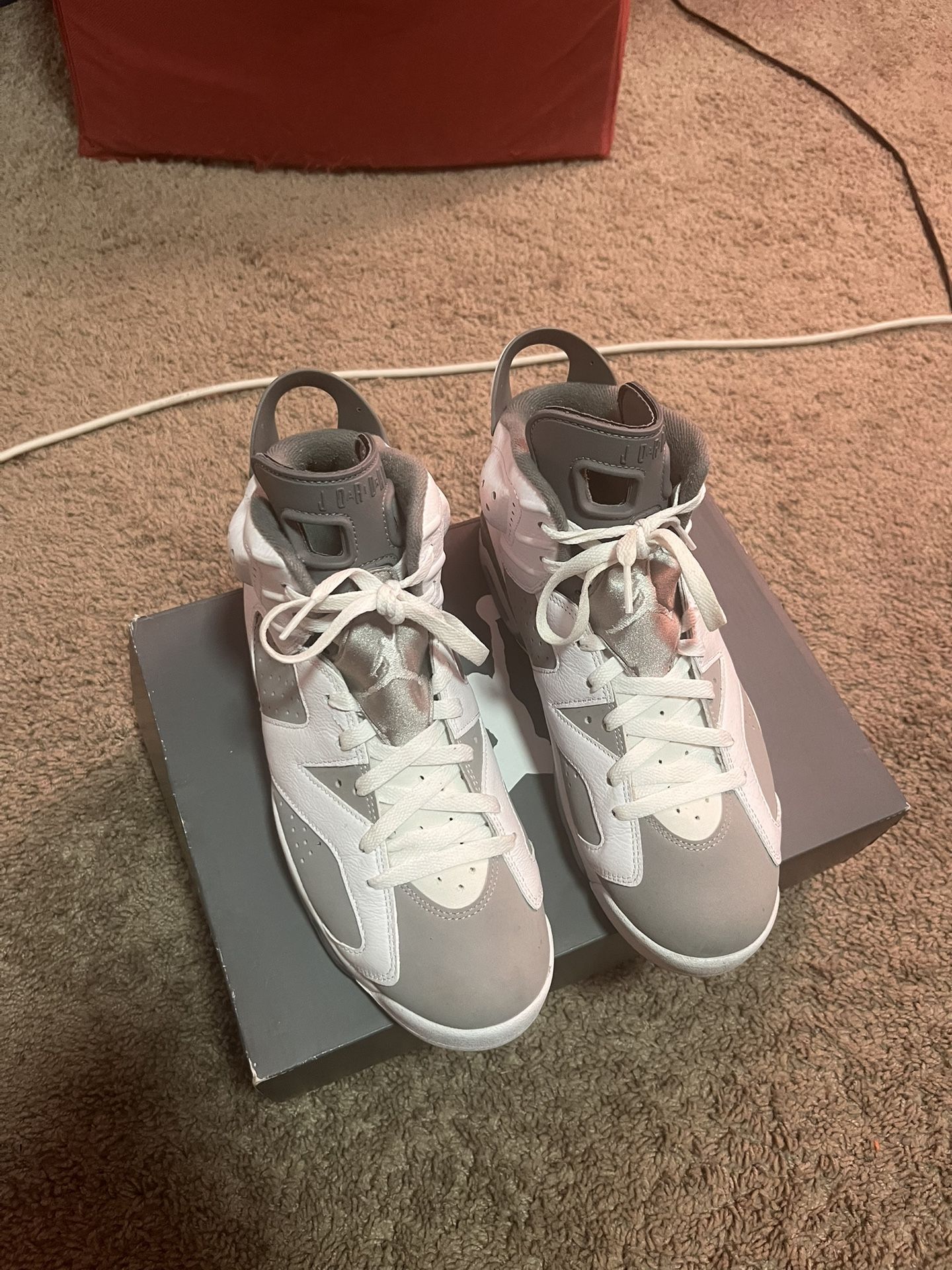 Jordan 6 Cool Grey Size 10