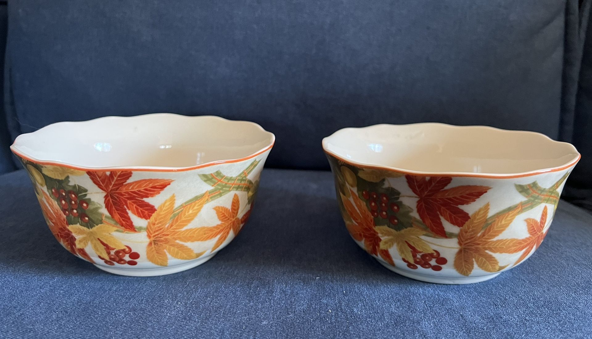 Used “Autumn Celebration” Cereal Bowls By 222 Fifth PTS Intnl