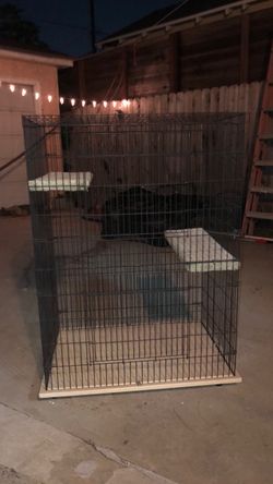 Small animal cage