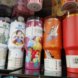 Disney Princess Stanleys 