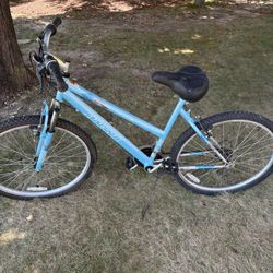 21 Speed Bike 