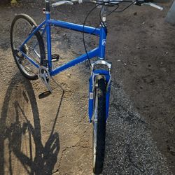 26 Inch Tamarack MOUNTAINS BIKE. 