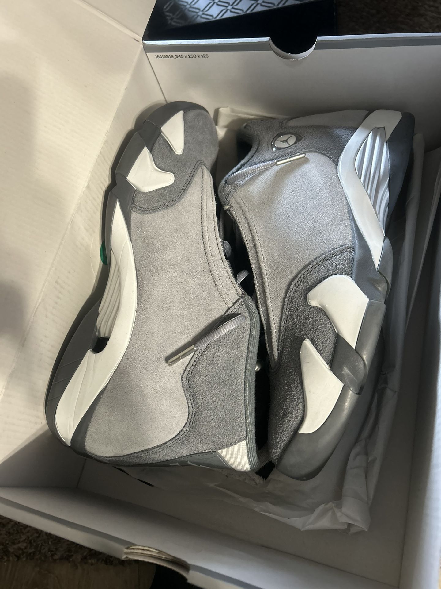 Jordan 12