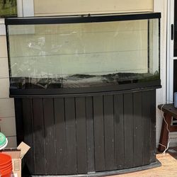 Fish tank
