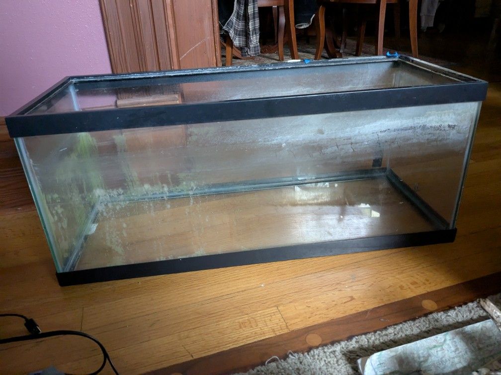 20 Gallon Long Aquarium Or Reptile Enclosure (No Lid)