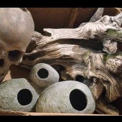 Aquarium Supplies 