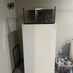 Saltwater Aquarium and Accessories