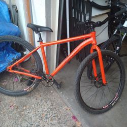 Gravity One Speed 29er