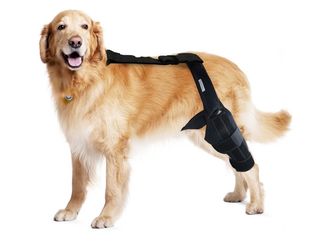 Dog Knee Brace for Torn ACL & Hind Leg Support – Adjustable Dog Hip & Leg Brace for Cruciate Ligament, Arthritis Relief, Joint Stability & Injury Reco