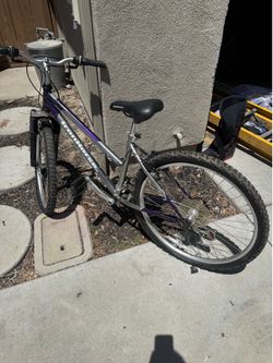 Mountain bike purple