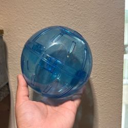 Exercise Ball For Small Animals