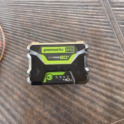 Green works Pro Battery