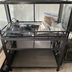 Reptile Premium 40 Gallon enclosure with Stand And Assessories  