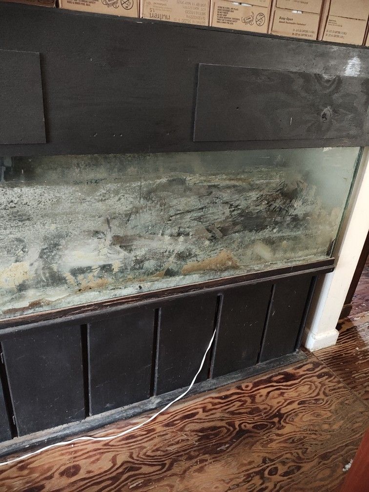 Fish Tanks 10 Of Them