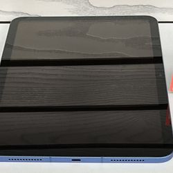 Apple iPad A16 11” 128Gb WiFi & Cell Unlocked 