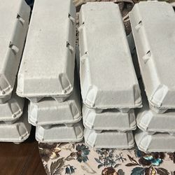 Fresh Chicken Eggs