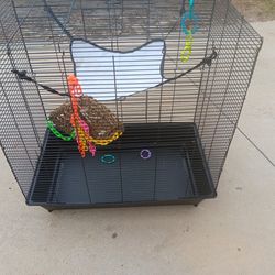 Bird  Cage