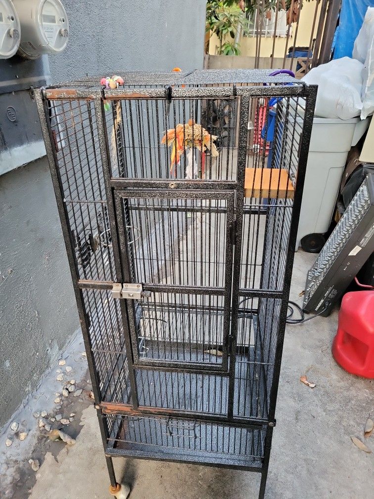 JAULITA PARA PERIQUITOS