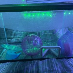 Used Fish Tank (with Hamster Stuff)