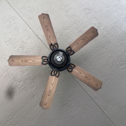 Outdoor Ceiling fan