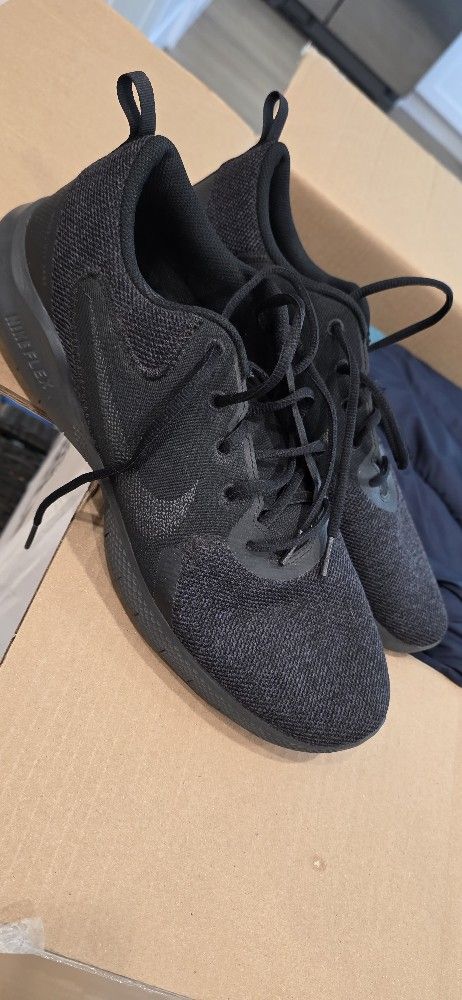 Nike Flex Running Shoes