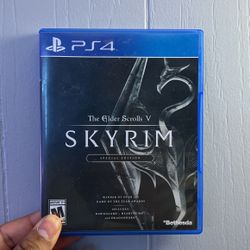 Skyrim 