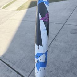 2025 DeMarini Zen 