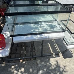 Fish Tank 