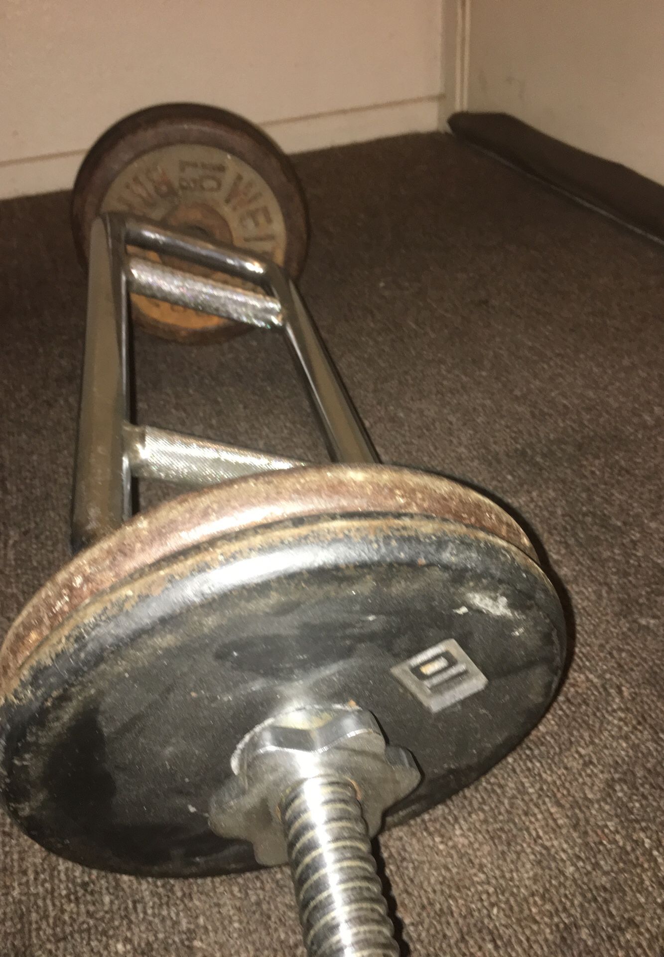 55 lb Tricep Curl Bar Best Offer