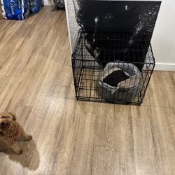 Dog Cage For Small Dogs