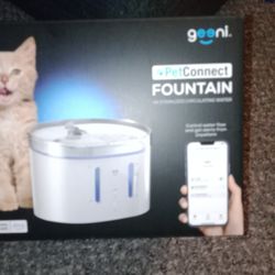 Pet Fountain 