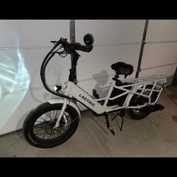 Electric E-bike