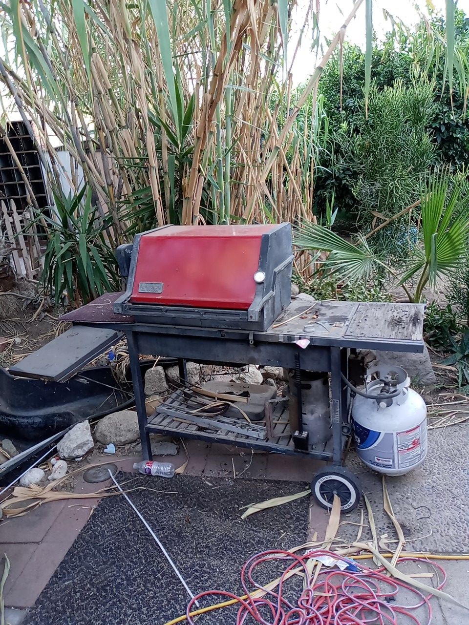 Webber bbq