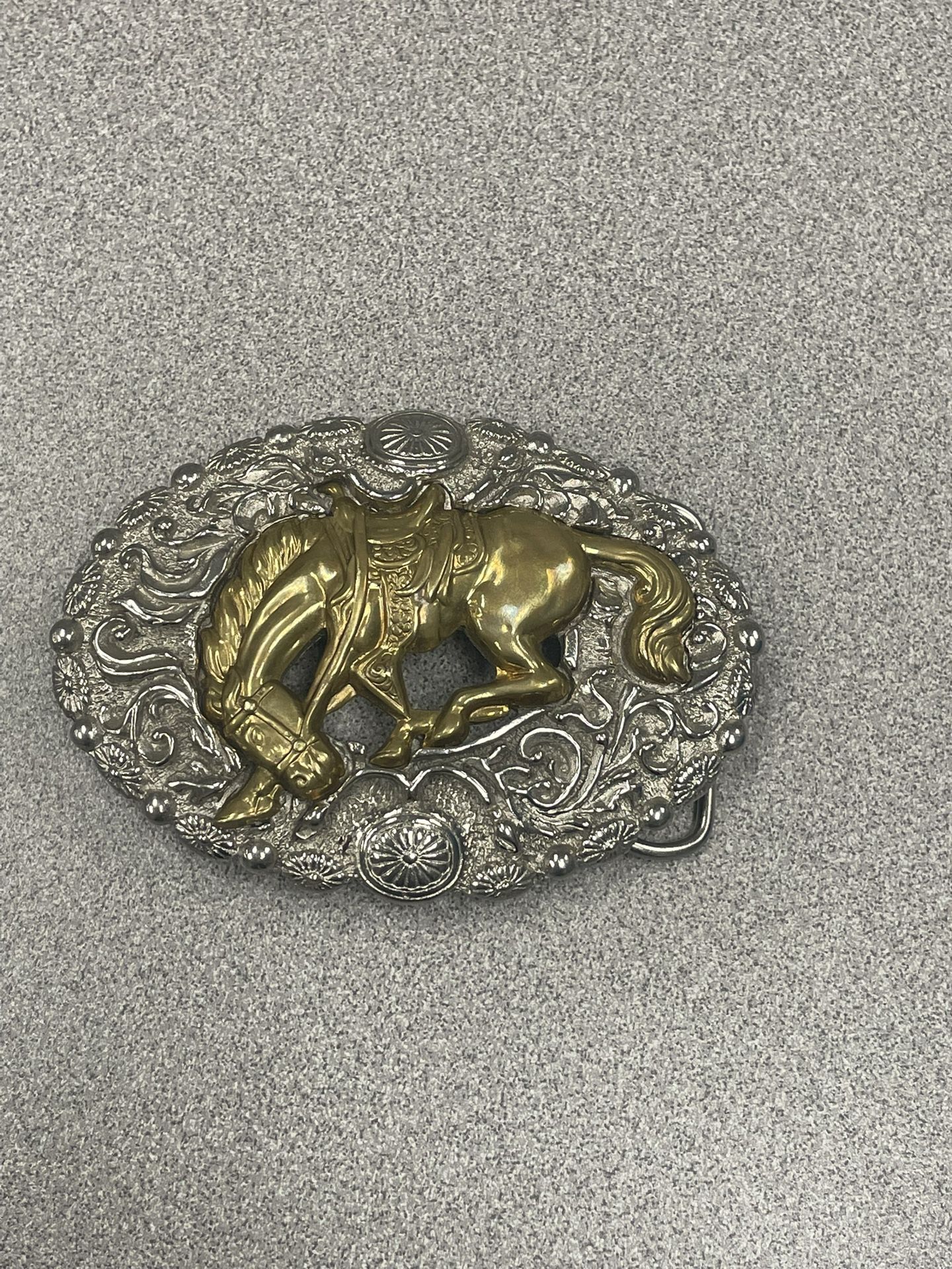 Hermosa Ebilla Elegante