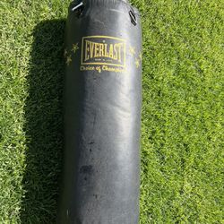 Everlast heavy punching bag-100 lbs